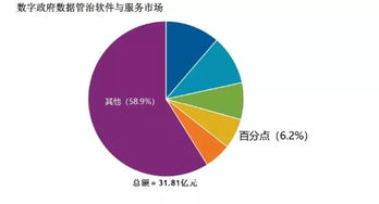 百分點躋身IDC數字政府數據管理與治理軟件和服務市場第四名，數據處理服務獲認可