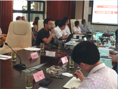 四川眉山田園岷東國(guó)際旅游度假區(qū)（康養(yǎng)溫泉小鎮(zhèn)）綜合開(kāi)發(fā)項(xiàng)目策劃及概念性規(guī)劃